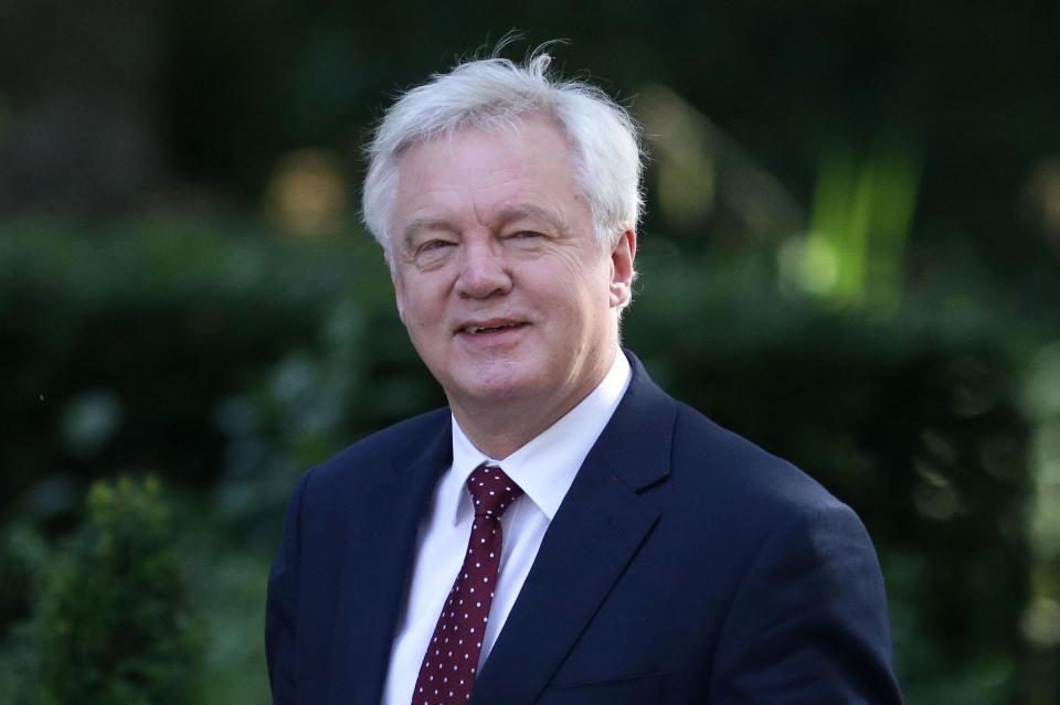  David Davis ended his time as Brexit Secretary because he felt frustrated with Theresa May's proposals