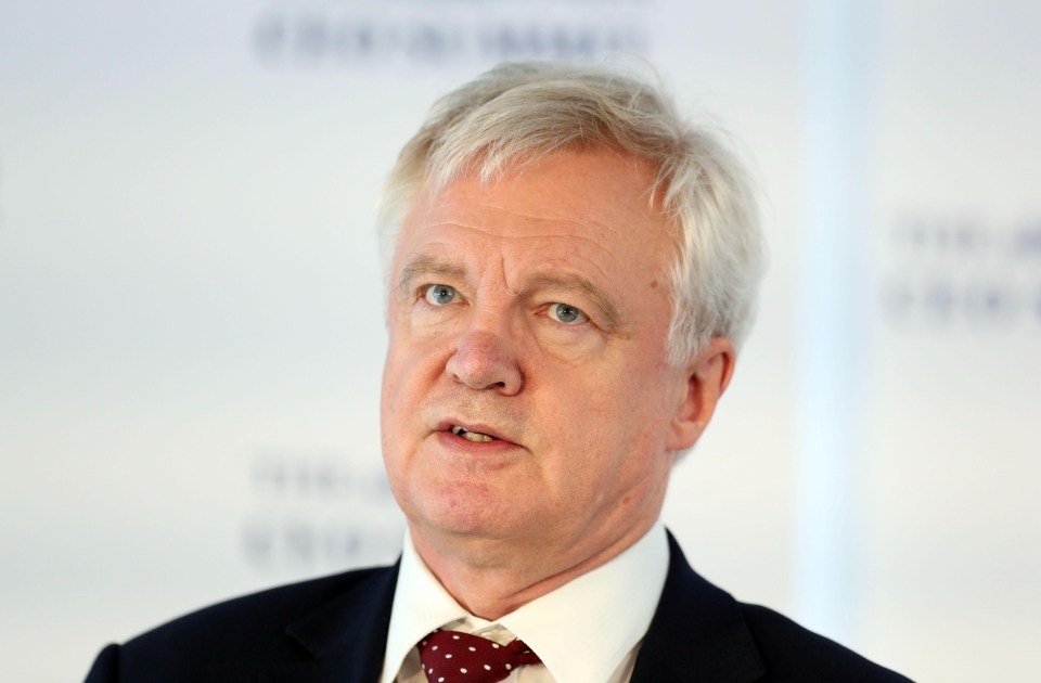 David Davis urged business chiefs to stick with Britain