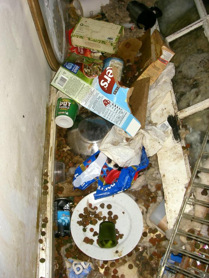  Dog food was scattered on the floor alongside piles of rubbish