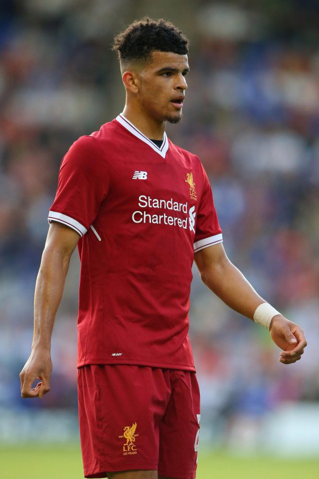  Liverpool fans will be hoping Dominic Solanke is ready fro first-team football at the off