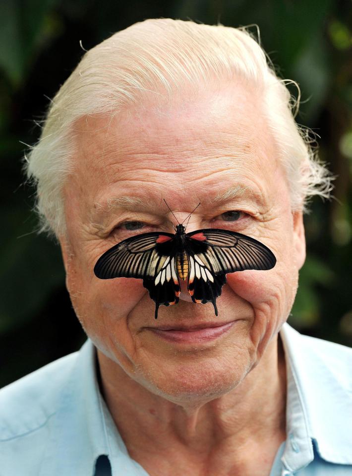  Also not on the list is national treasure David Attenborough, who has presented Planet Earth II