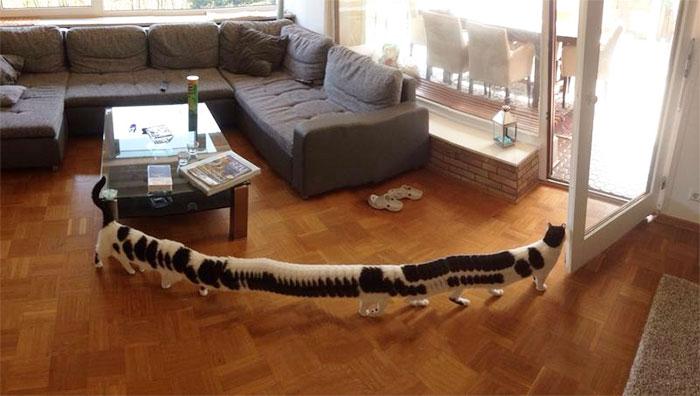  Me-oow! Is this the longest cat in the world? No, it's just a hilarious panoramic fail by the moggy's owner