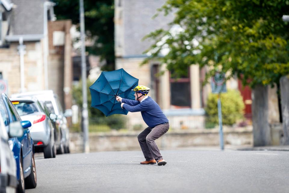  Local uses his umbrella to protect himself from the seagulls