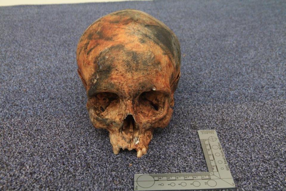  One of the human skulls were been found in a carrier bag behind a Budgens store