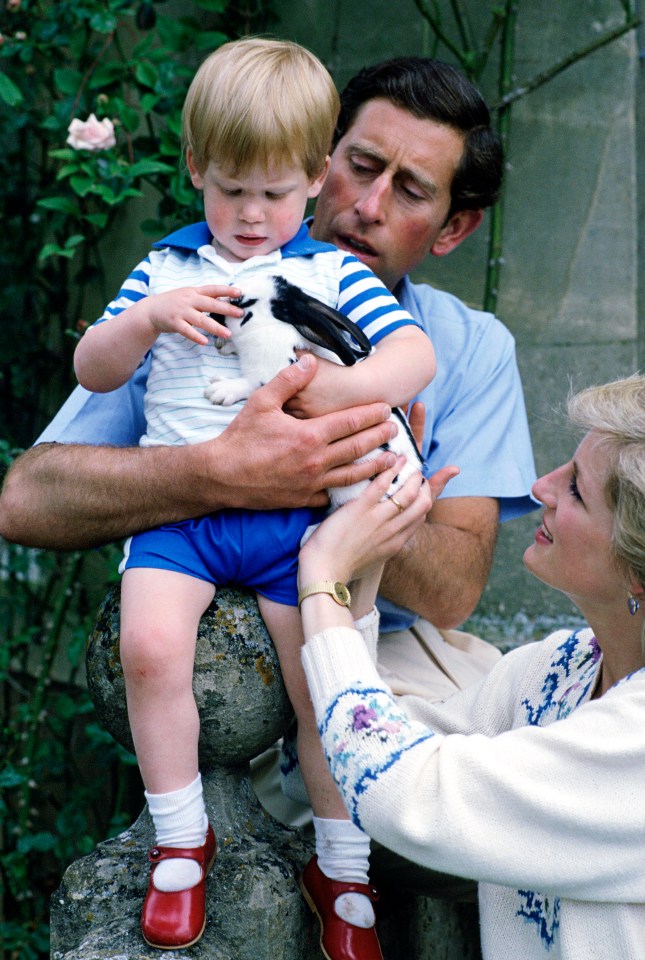 Harry, pictured with parents Prince Charles and Princess Diana, first rocked the buckled shoes back in 1986 at Highgrove House