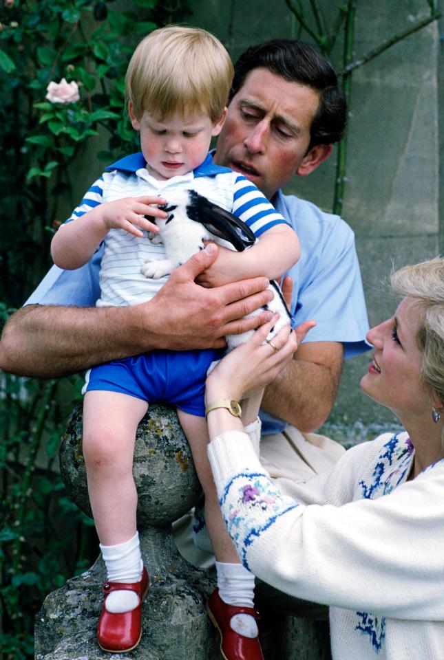  Harry, pictured with parents Prince Charles and Princess Diana, first rocked the buckled shoes back in 1986 at Highgrove House