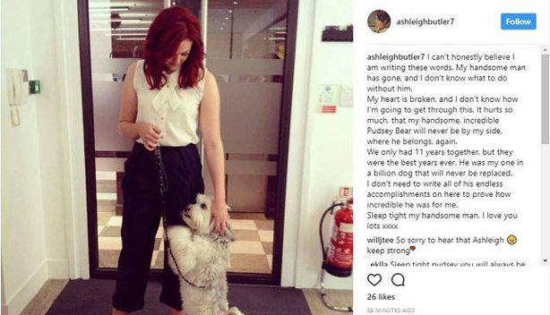 The last picture of Pudsey posted on Instagram reveals Ashleigh’s heartbreak