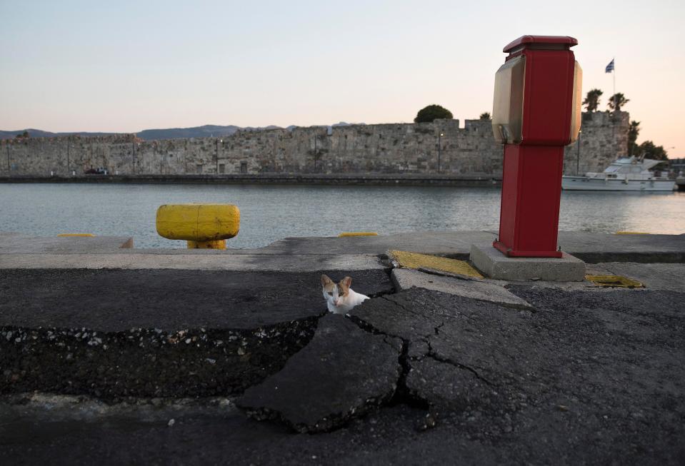  A cat watches from behind a broken pavement at the port of the Mediterranean island of Kos, Greece