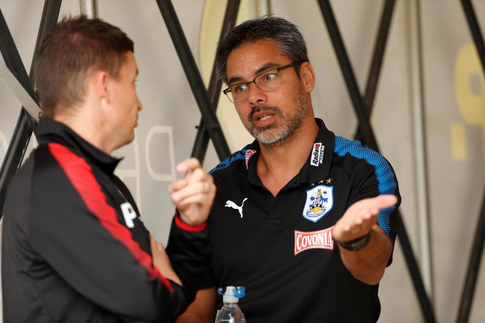  David Wagner is keen to make the right-back his tenth summer signing