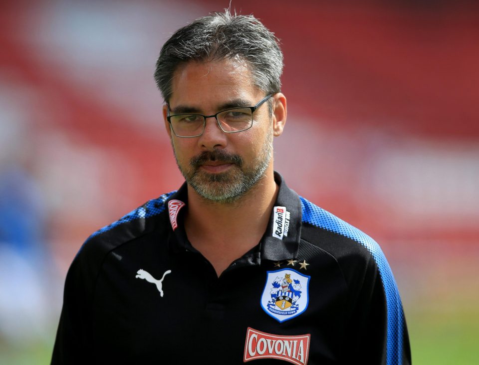  David Wagner has been quick to move this summer to improve his Huddersfield squad