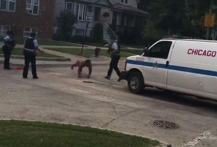  Another police vehicle arrives and its driver fires another taser round