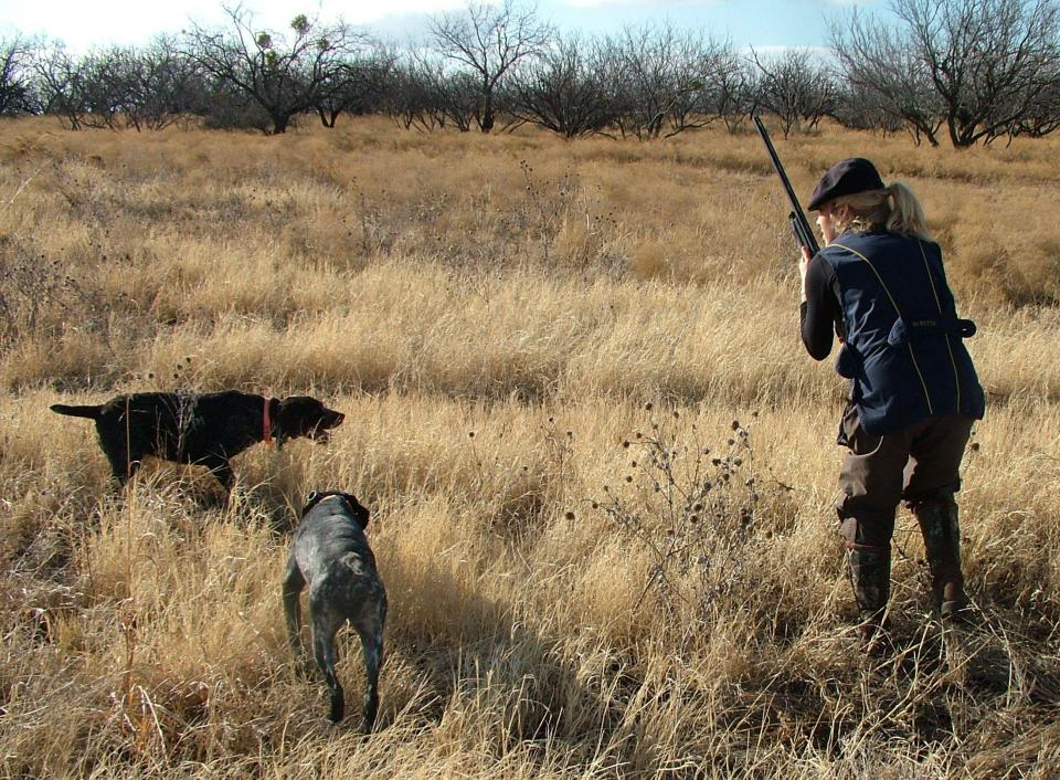  Olivia hunting with dogs