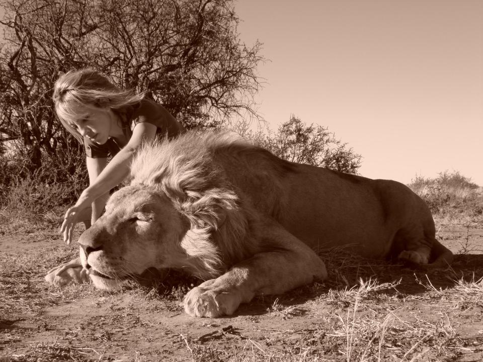  Olivia with a male African lion which is one of three she has shot in her time