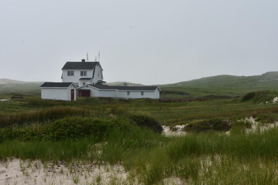  Zoe lives alone in a wooden-clad house with only wildlife for company