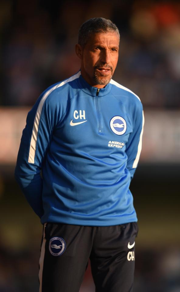  Chris Hughton is working hard to bolster his Brighton squad