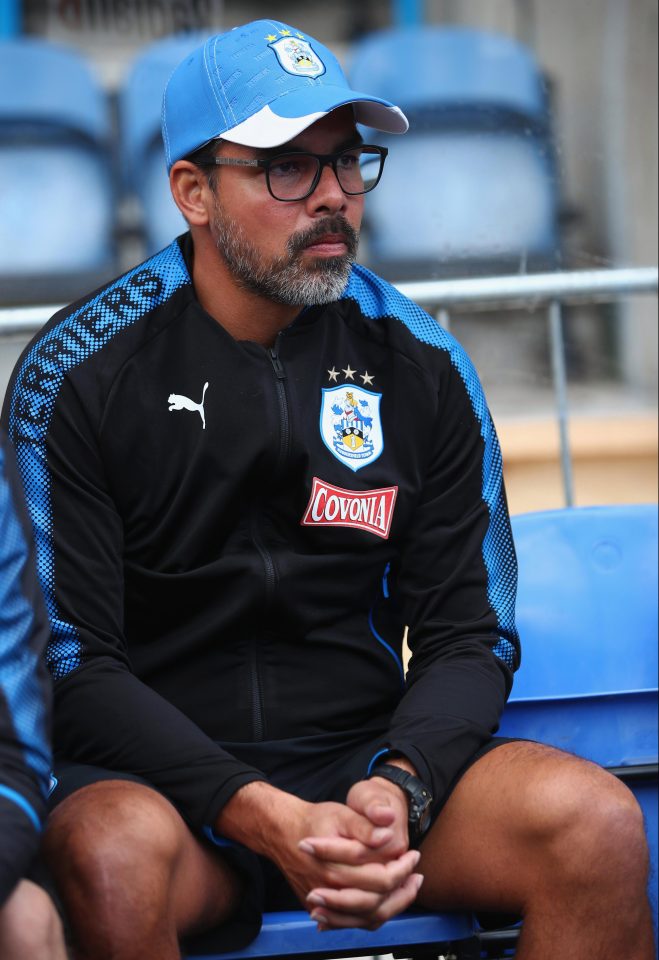  David Wagner is desperate to land more players before the start of the season