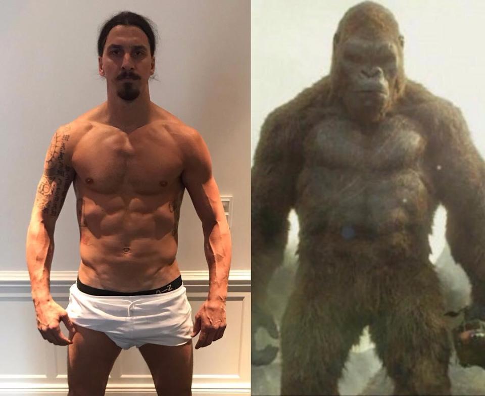  Zlatan Ibrahimovic shows he's still in form with Instagram post alongside gorilla