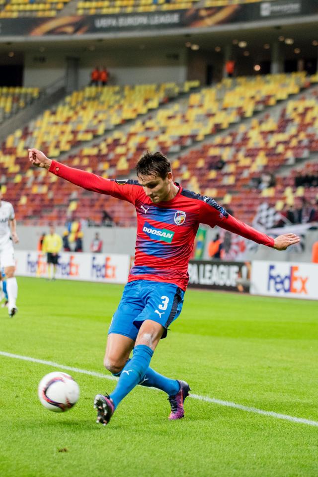  Brighton are chasing Viktoria Plzen defender Ales Mateju