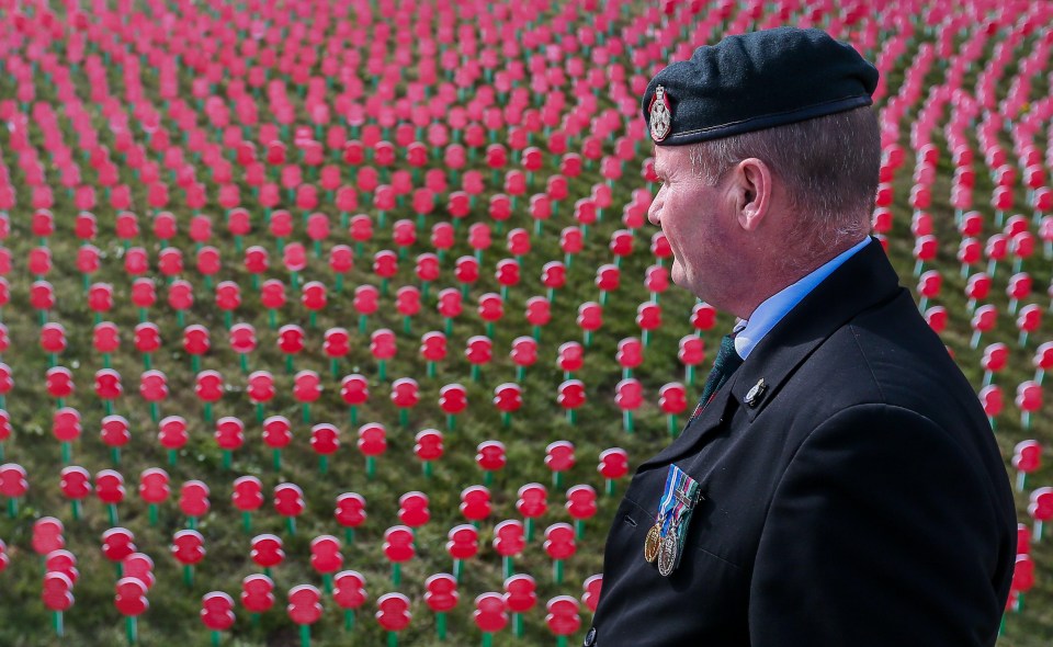 A man looks over the sea of memorial poppies at Tyne Cot cemetery today