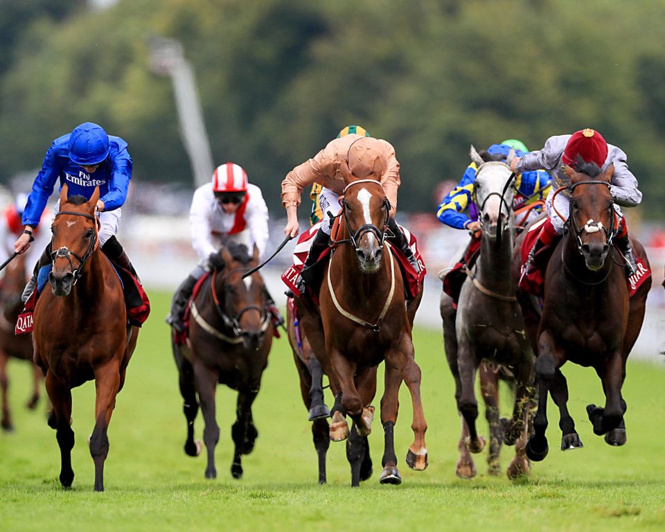  Dal Harraild (centre) has shaped like a stayer