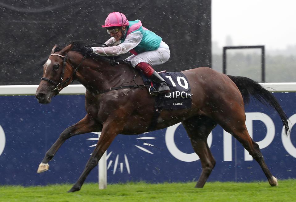  Enable was simply brilliant in the King George as she went on a brilliant winning streak