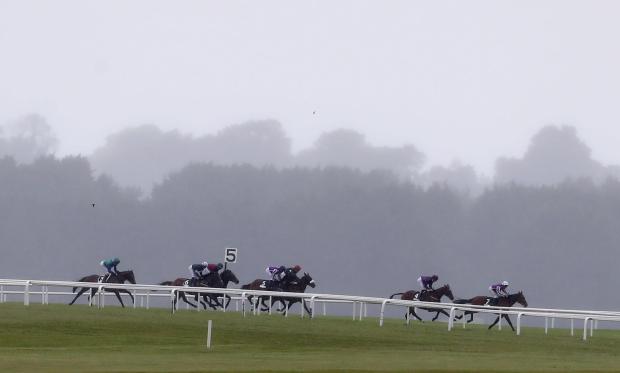 Curragh racecourse