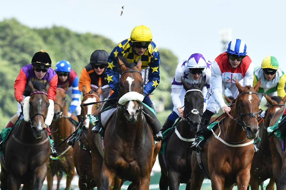  Dylan Mouth (centre) is being lined up for a possible crack at the Melbourne Cup