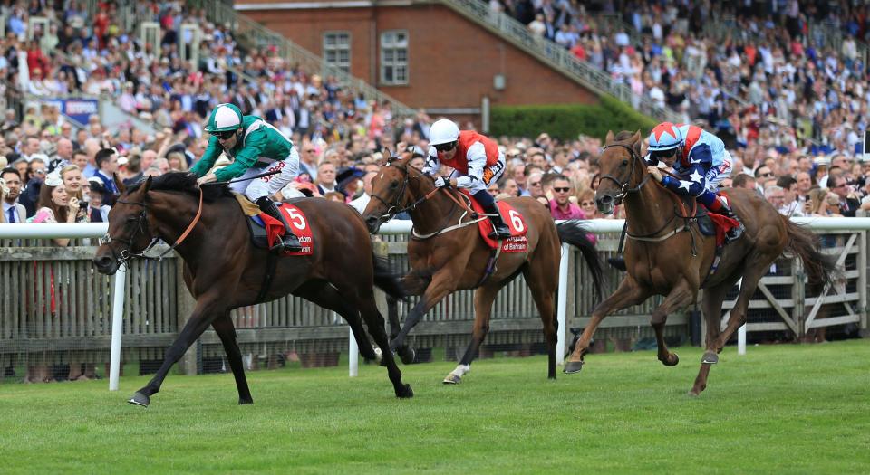  Desert Skyline (right) has run well in defeat this year