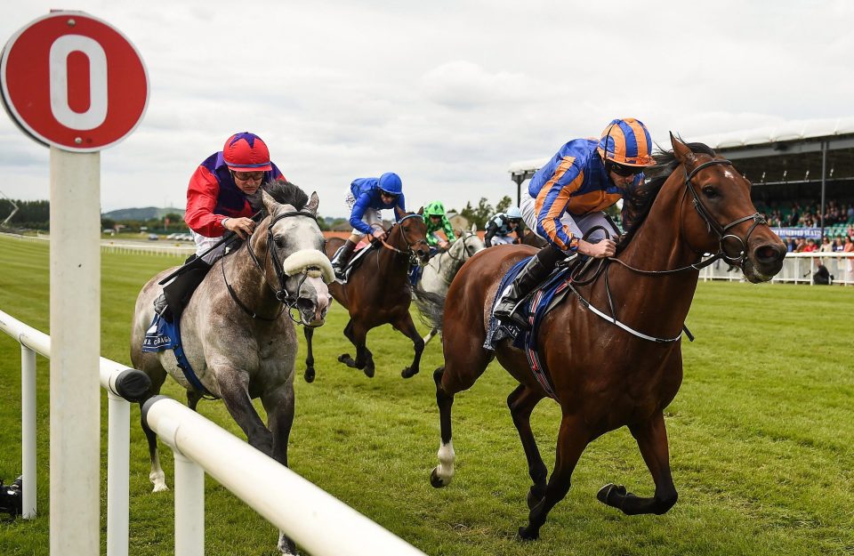  Johannes Vermeer gets the better of Success Days (left) at the Curragh