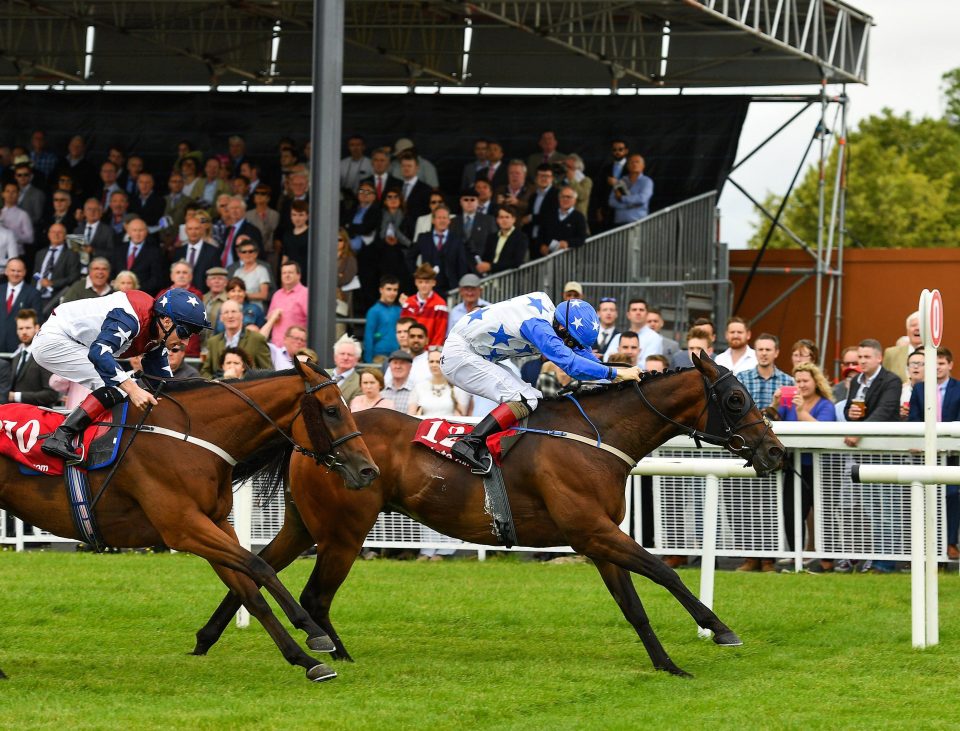  Snap Shots (left) finished a close second at the Curragh