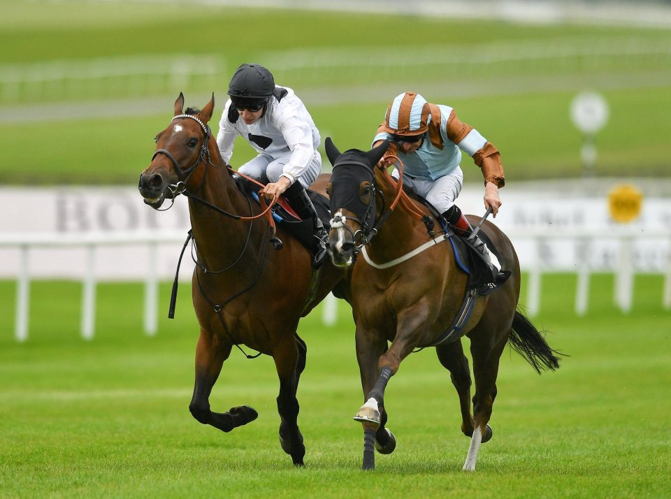  Caspian Prince (right) battles back to win against Marsha