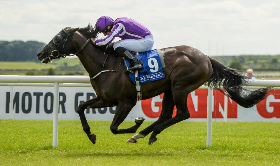  Spirit Of Valor wins the Minstrel Stakes at the Curragh