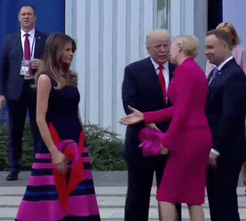 Instead Kornhauser headed to shake the hand of her US counterpart Melania Trump