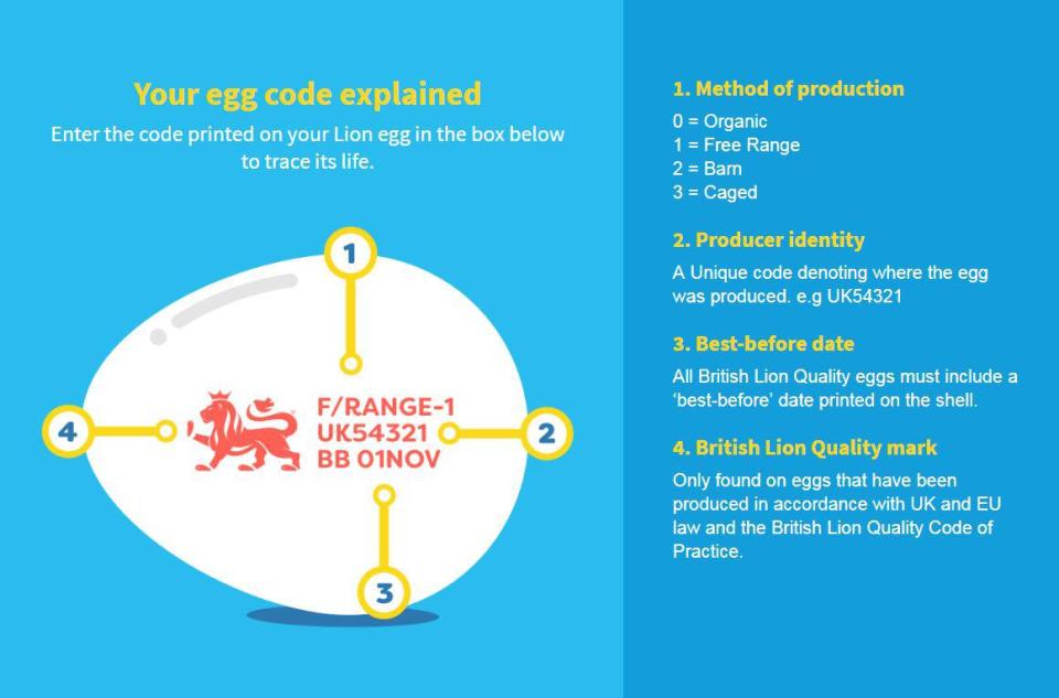  The code on the Lion Eggs website shows how to decode your egg