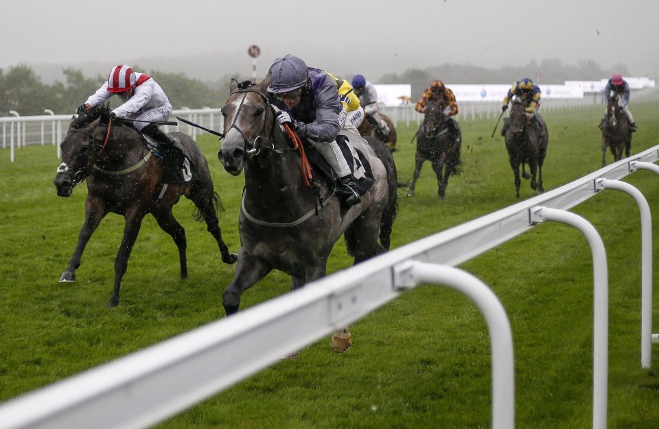  Havana Grey powers home up the rail at Goodwood