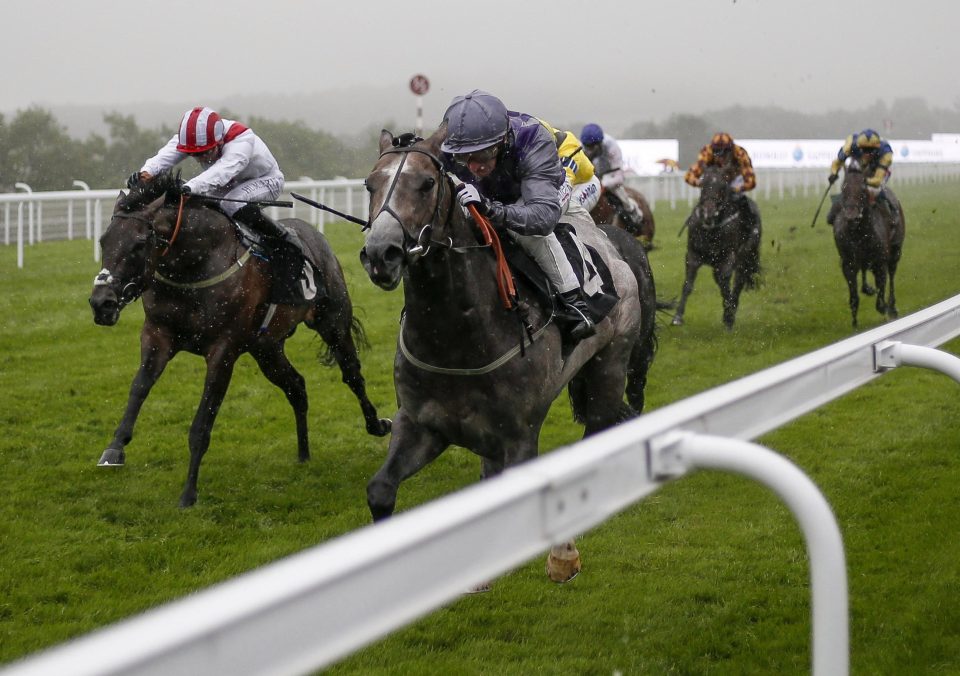  Invincible Army (left) hated the ground at Goodwood