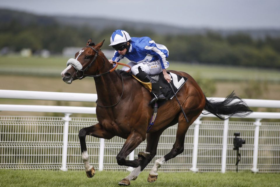  Beat The Bank was last seen impressively winning at Goodwood