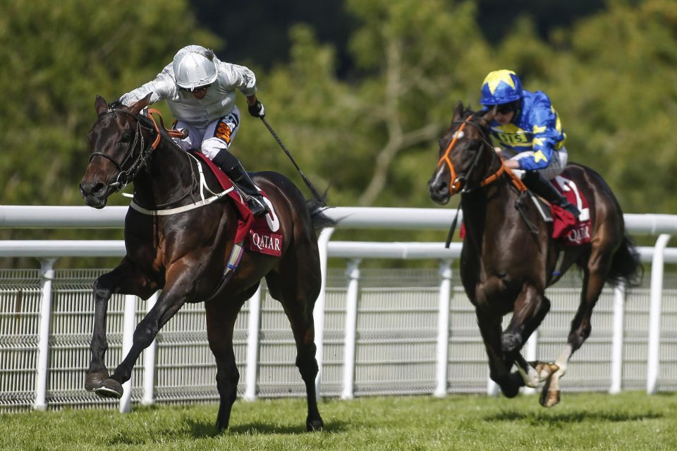  Dee Ex Bee skipped clear of his rivals at Goodwood