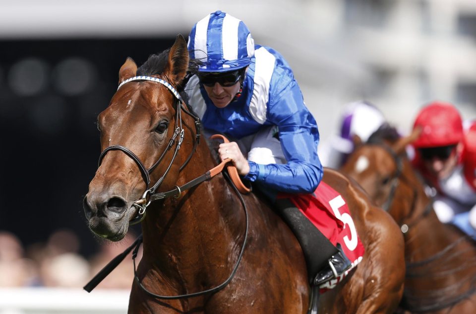  Massaat is set to meet Ribchester on Champions Day