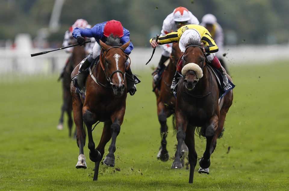  Tim Easterby is hoping for a other big win after Wells Farhh Go's (left) victory