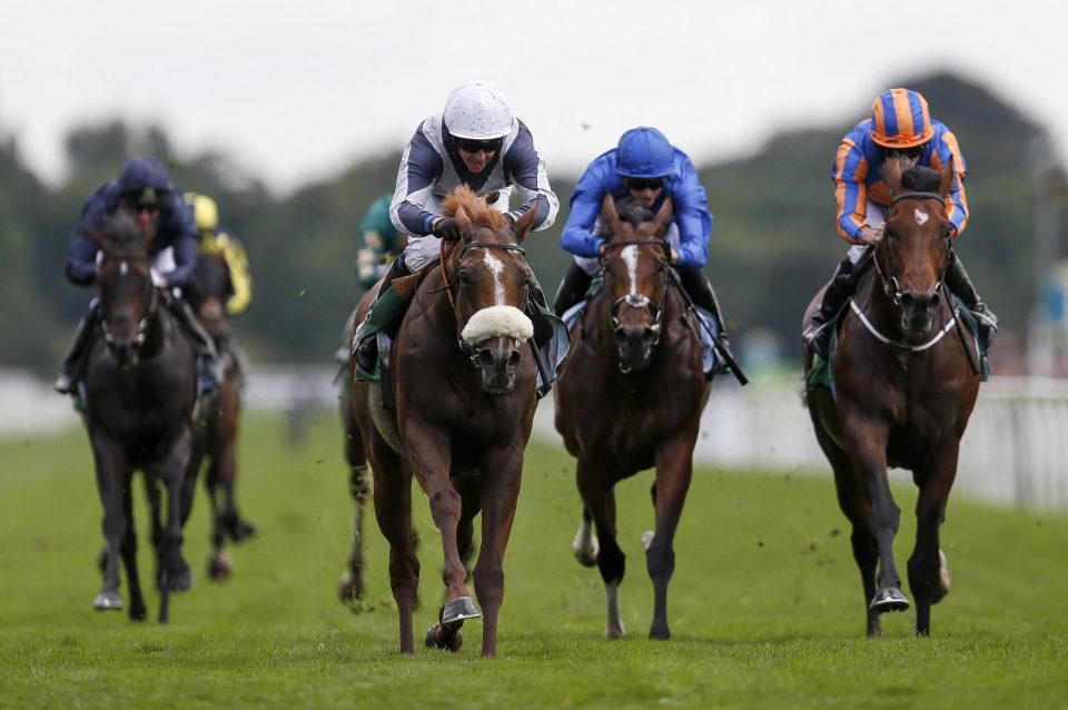  Ulysses dispatched a classy field on the Knavesmire