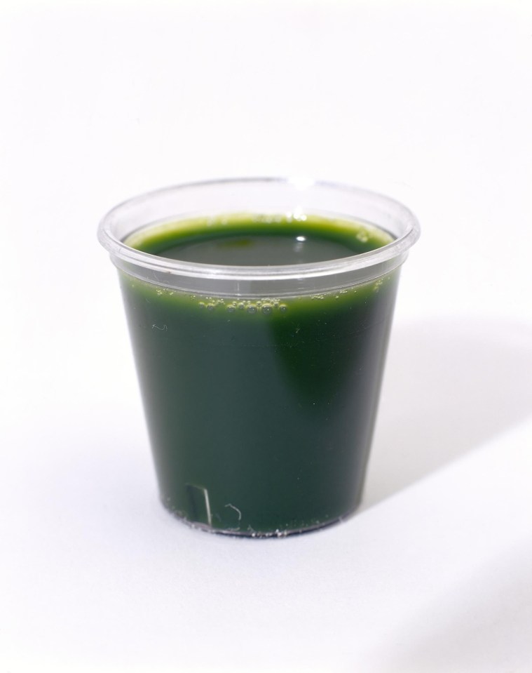 Wheatgrass is often consumed as a shot, with fans claiming it’s healthier than all other vegetables