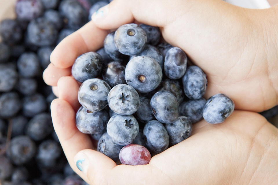 Superfoods, including long-term favourite blueberries, are a trendy food group which allegedly have major health benefits