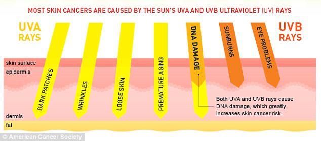 Different types of UV rays penetrate the skin and cause damage at different levels