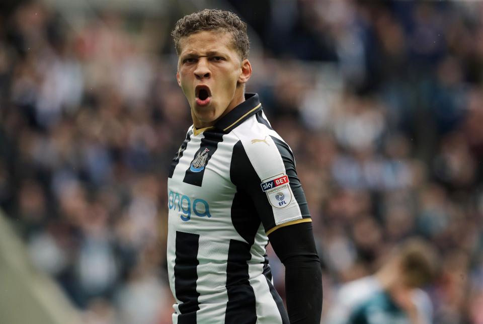  Dwight Gayle could be on his way out of Newcastle and back to the Championship with Fulham