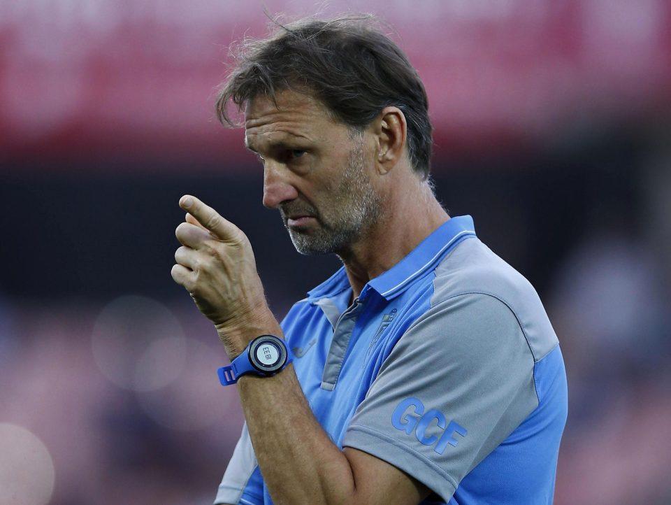  Reports claim Tony Adams has received the backing to buy Crystal Palace