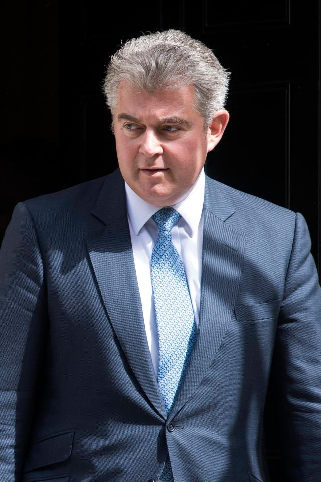  Immigration Minister Brandon Lewis said he's 'committed' to making an immigration system that is 'in the best interests of the country'