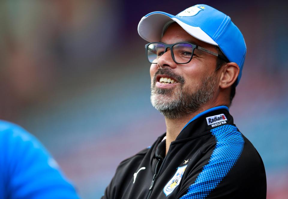  David Wagner will like Huddersfield being the underdogs this season