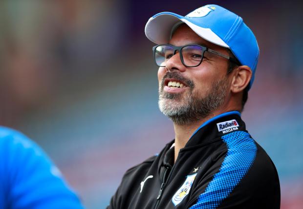 David Wagner will like Huddersfield being the underdogs this season