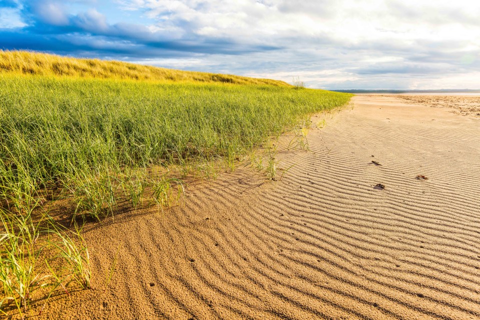 At Coves Haven, you can listen to the seals singing on the rocks when the tide is out